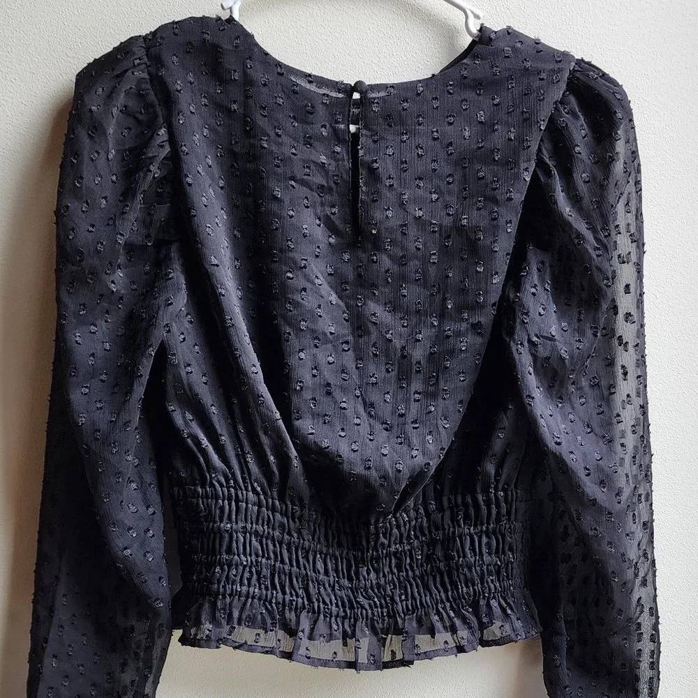 Express Sheer Black Cropped Blouse Size XS
